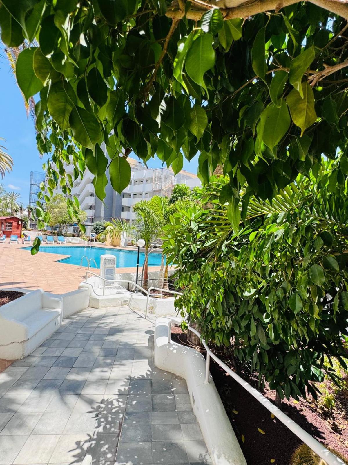 Jameo De Agua, Americas Sea View Appartement *