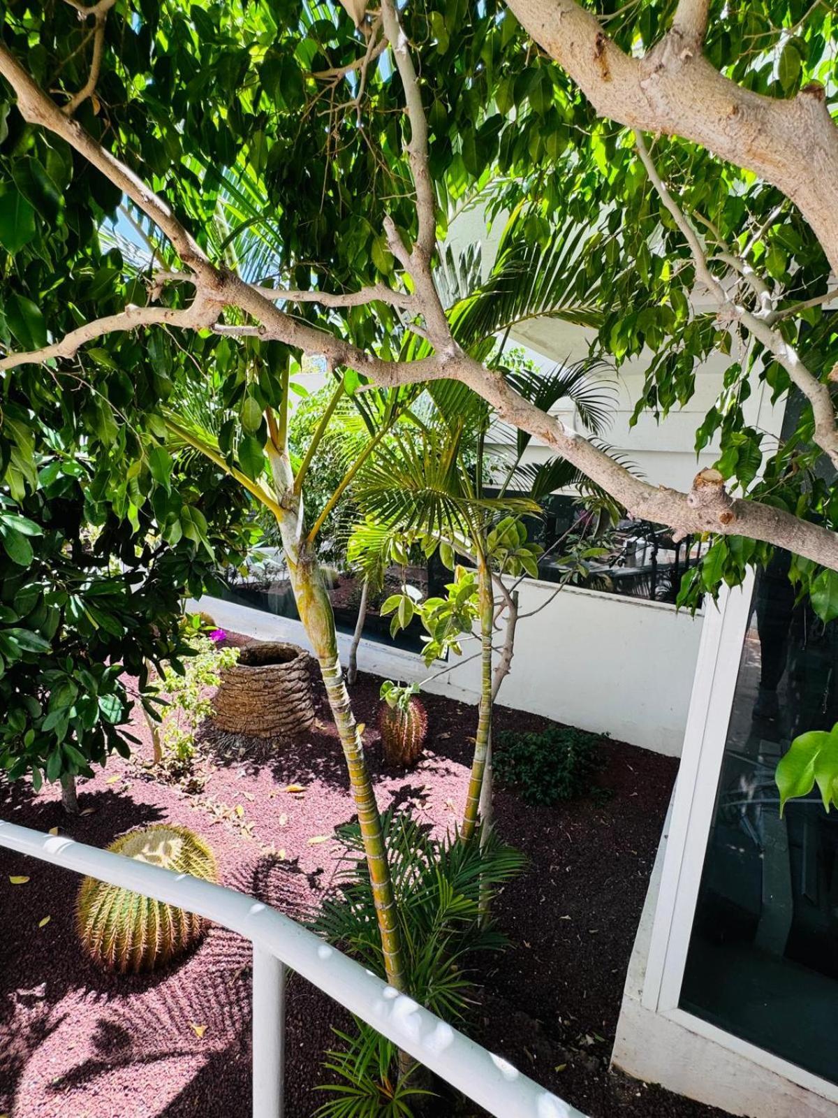 Jameo De Agua, Americas Sea View Appartement